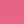 LR01 Rose Brillant