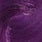 T.VIOLET