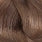 CC 7