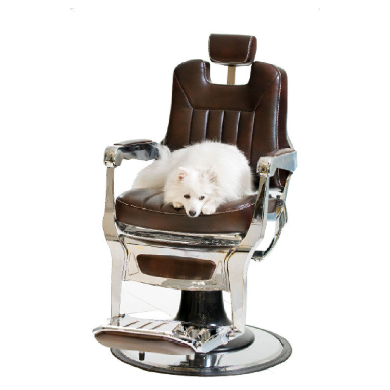 SAKAI MAYFAIR Fauteuil barbier dark brown